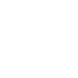 icon_adv1